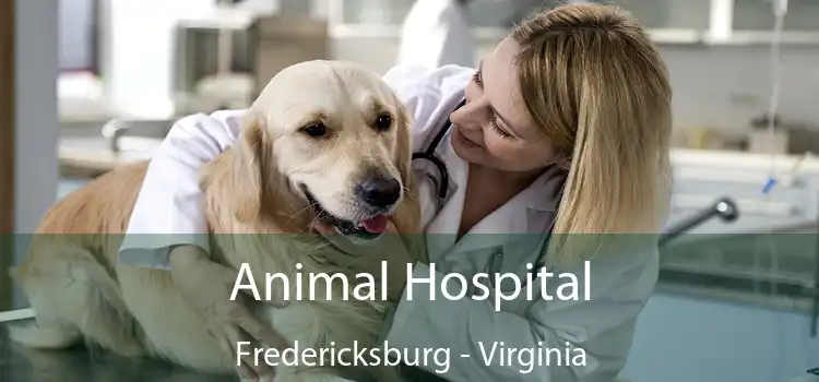 Animal Hospital Fredericksburg - Virginia